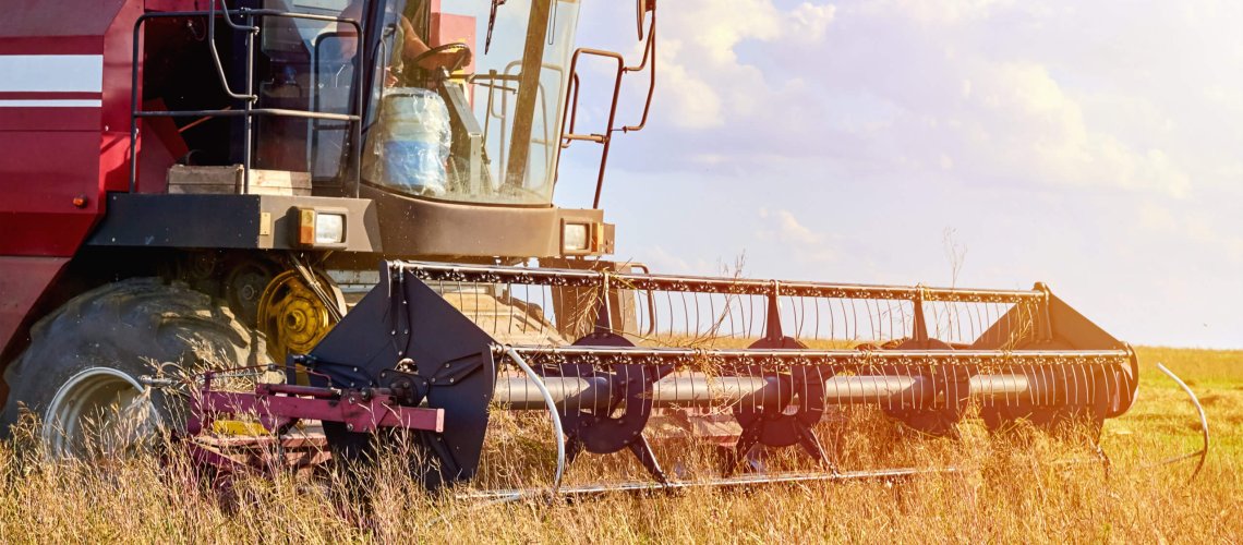 Harvester machine working to harvest rye field